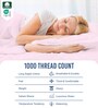 Light Pink Solid 1000 TC Cotton Super King Sized Bedsheet with 4 Pillow Covers