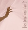 Light Pink Solid 400 TC Cotton King Sized Fitted sheet with 2 Pillow Covers