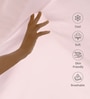 Light Pink Solid 600 TC Cotton Super King Sized Bedsheet with 4 Pillow Covers