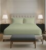 Light sage Solid 400 TC Cotton King Sized Fitted sheet with 2 Pillow Covers