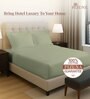 Light sage Solid 400 TC Cotton Queen Sized Fitted sheet with 2 Pillow Covers