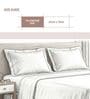Light sage Solid 400 TC Cotton Standard Sized 2 Pillow Covers