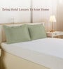 Light sage Solid 400 TC Cotton Standard Sized 2 Pillow Covers