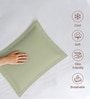 Light sage Solid 400 TC Cotton Standard Sized 2 Pillow Covers