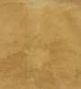 Beige Cloudy Mink Silky-Soft All Season Single Blanket
