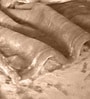 Beige Cloudy Mink Silky-Soft All Season Single Quilt Blanket