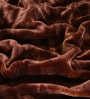 Brown Cloudy Mink Silky-Soft All Season Single Quilt Blanket