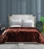 Brown Cloudy Mink Silky-Soft All Season Single Quilt Blanket