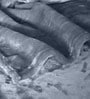 Grey Cloudy Mink Silky-Soft All Season Single Quilt Blanket