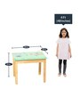 Lil Birds Solid Wood Kids Activity Table in Green Colour with 2 Chair