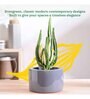 Lilac Stories Bowl Grey Ceramic Planter