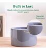 Lilac Stories Bowl Grey Ceramic Planter