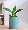 Lilac Stories Extra Small Blue Ceramic Planter