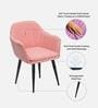 Lily Fabric Accent Chair In Pink Colour
