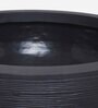 Lily Pan Black Polyethylene  Floor Planter