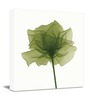 Lime Green Wall Painting, Gallery Wrapped Floral Canvas Print Green Paintings on Canvas Wall Art Ready to Hang for Living Room Home Decorations
