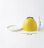 Limonata Butter Dish