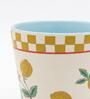 Limonata Tapered Mug