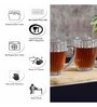 Linear 248ml Transparent Ceramic (Set of 6) Coffee Mug