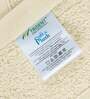 Beige Solid 500 GSM Cotton Face Towels (Set of 12)