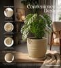 LINO Beige 12 Inch German Polymer Round Plant Container With Saucer