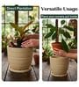 LINO Beige 12 Inch German Polymer Round Plant Container With Saucer
