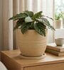 LINO Beige 12 Inch German Polymer Round Plant Container With Saucer