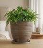 LINO Choco Brown 12 Inch German Polymer Round Plant Container With Saucer