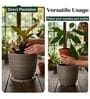LINO Choco Brown 12 Inch German Polymer Round Plant Container With Saucer