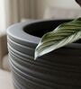 LINO Grey 12 Inch German Polymer Round Plant Container With Saucer