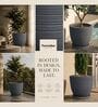 LINO Grey 12 Inch German Polymer Round Plant Container With Saucer