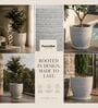LINO Marble White 12 Inch German Polymer Round Plant Container With Saucer