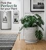 LINO Marble White 12 Inch German Polymer Round Plant Container With Saucer