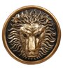 Lion Head Wall Art Showpieces (Black & Gold, 26.7cm)