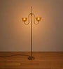 Brown Lior Floor Lamp