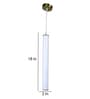 Liora  Gold Iron Hanging Light  | Inbuilt LED |  | Eliante