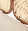 Lira 2 Seater Cane Bench in Teak Finish