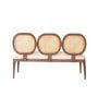 Lira 2 Seater Cane Bench in Teak Finish