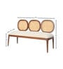 Lira 2 Seater Cane Bench in Teak Finish