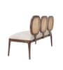 Lira 2 Seater Cane Bench in Teak Finish