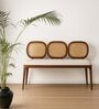 Lira 2 Seater Cane Bench in Teak Finish