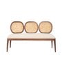 Lira 2 Seater Cane Bench in Teak Finish