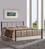 Metallika Lisbon Queen Size Bed in Black Finish