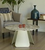 Lisieux Metal Coffee Table With Panther Marble Top In Off White Finish