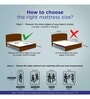 Lite Orthopedic 5 inch (75x36) PU Foam Single Size Mattress