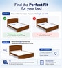 Lite Reversible Orthopedic 5 Inch PU Foam Single Mattress