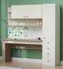 Little Legend Study Table With  Storage & Caribe Print