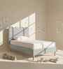 Little Palace Velvet Suede Kids Twin Bed With Hydraulic Storage In Ivory Colour