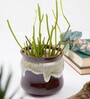Little Pile Choco Brown Ceramic Desk Pot