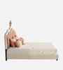 Little Queen Leatherette Kids Twin Bed With Box Storage In White And Pink Colour